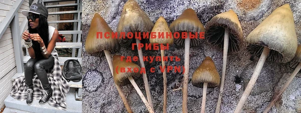 дурь Елизово