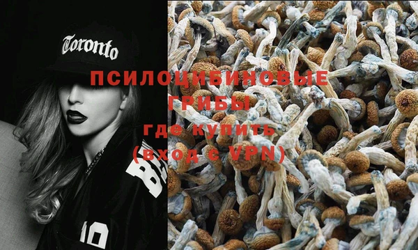 дурь Елизово
