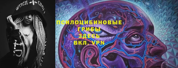 дурь Елизово