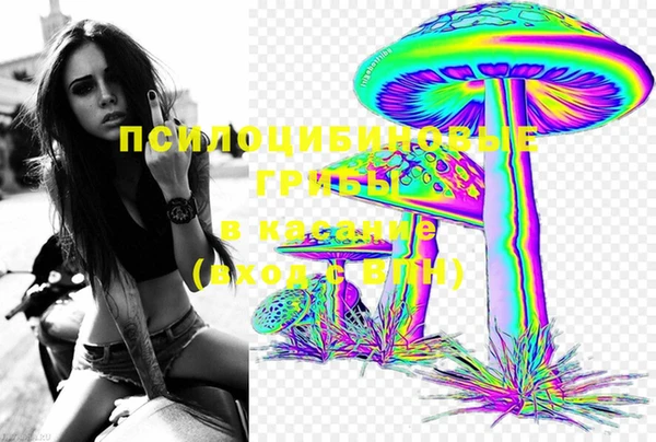дурь Елизово