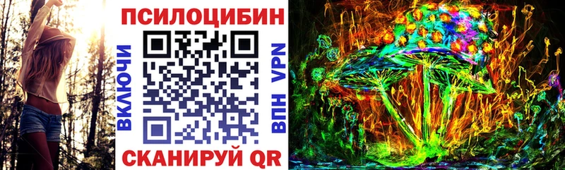 Купить где  Ковдор  Галлюциногенные грибы Psilocybe 